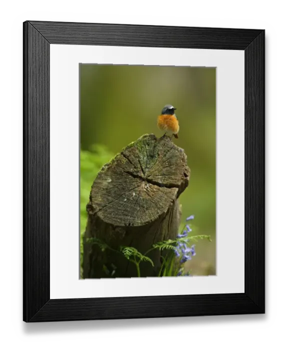 Framed Print : Europe, England