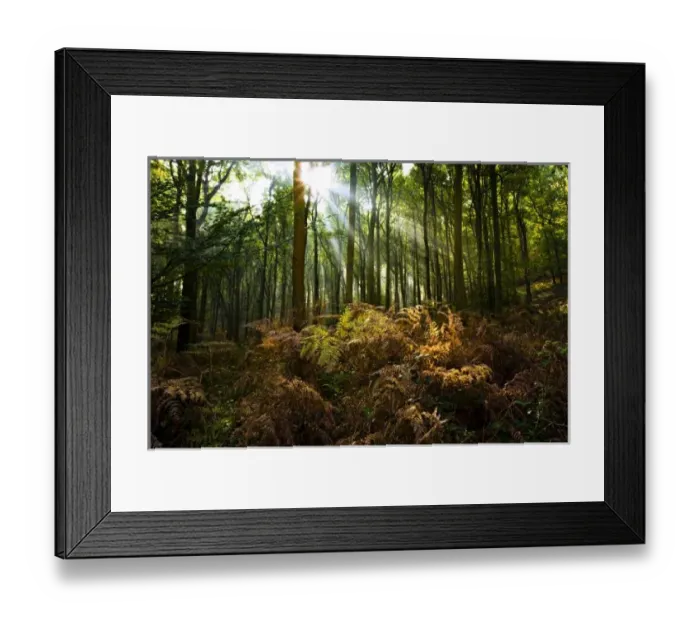 Framed Print : Europe, England Framed Print : Europe, England