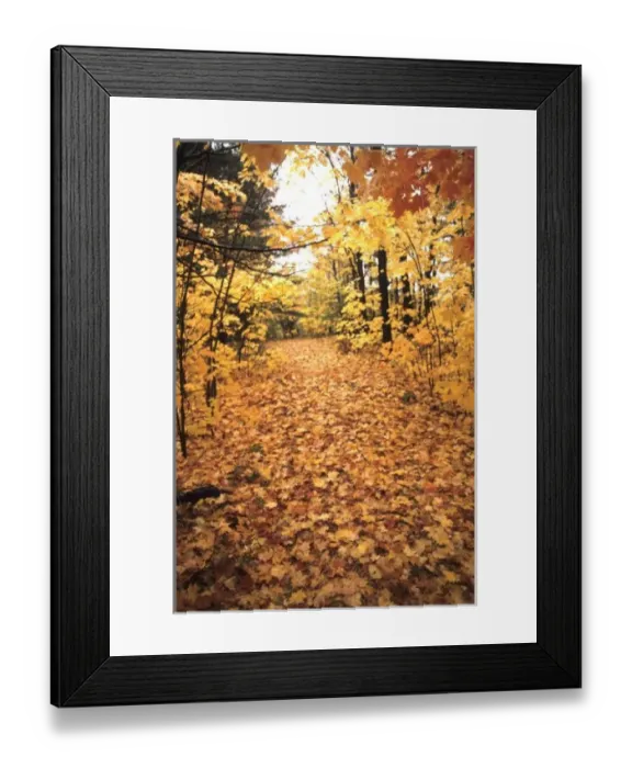 Framed Print : Tranquil Road with Framed Print : Tranquil Road with
