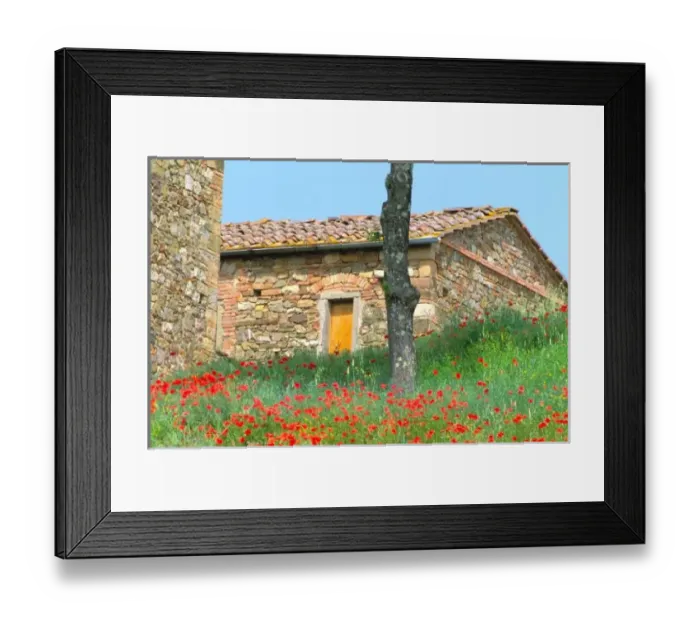 Framed Print : Europe, Italy