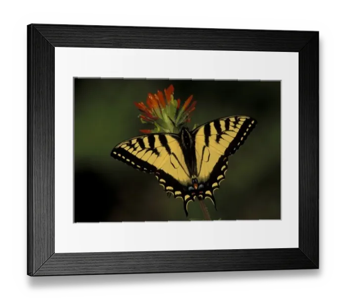 Framed Print : Michigan, Houghton Framed Print : Michigan, Houghton