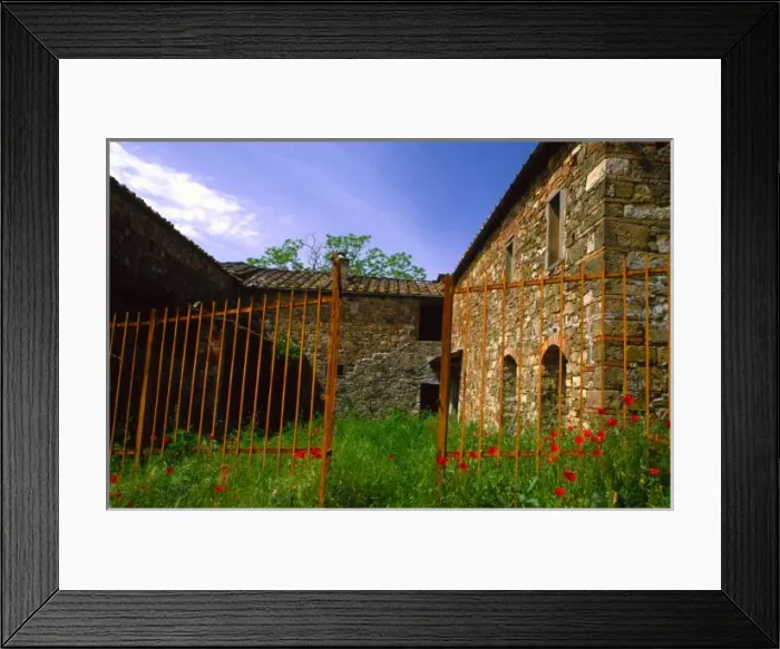 Framed Print : Europe, Italy, Tuscany, abandoned villa in vinyard Framed Print : Europe, Italy, Tuscany, abandoned villa in vinyard