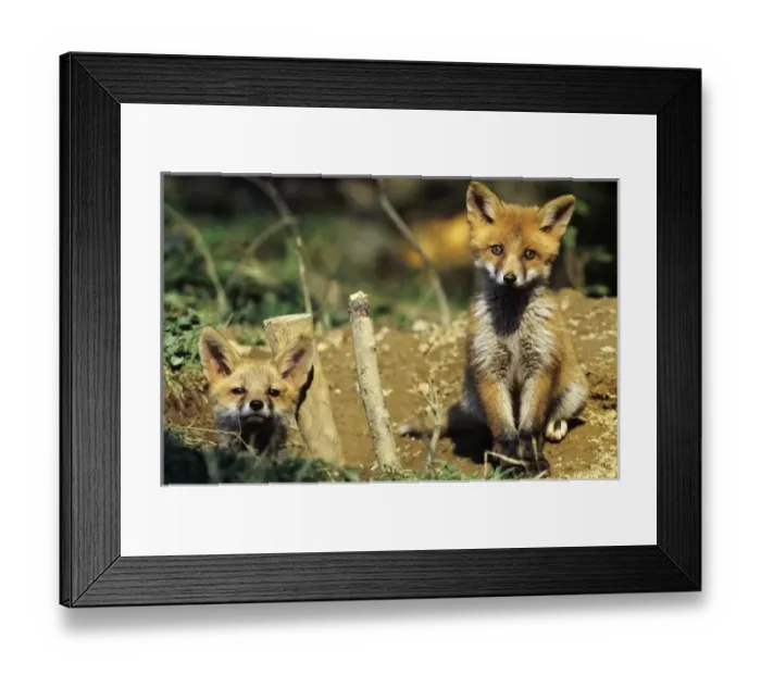 Framed Print : Europe, Switzerland Framed Print : Europe, Switzerland