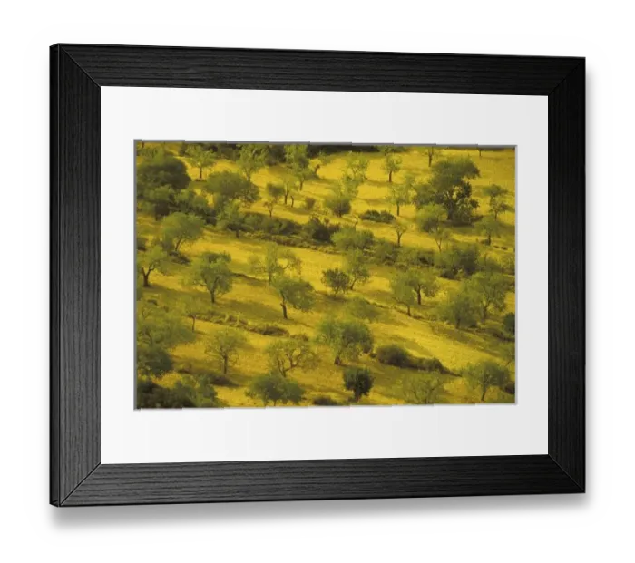 Framed Print : Europe, Spain Framed Print : Europe, Spain