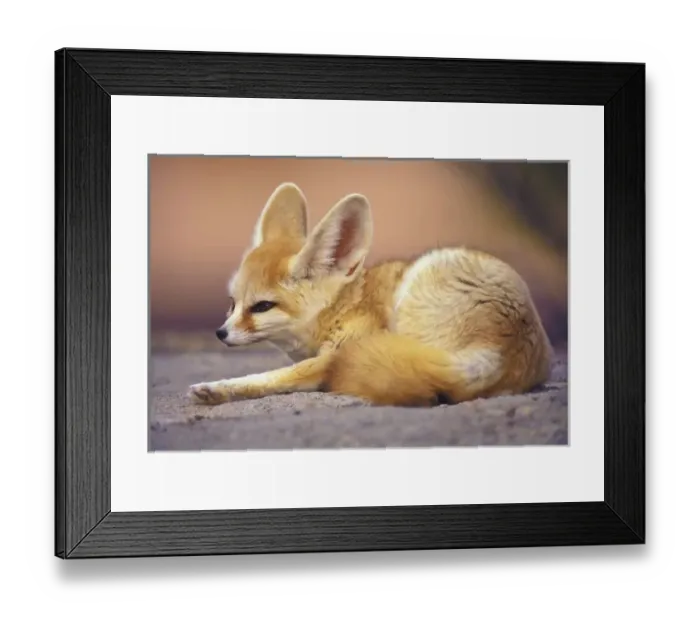 Framed Print : Northern Africa Framed Print : Northern Africa