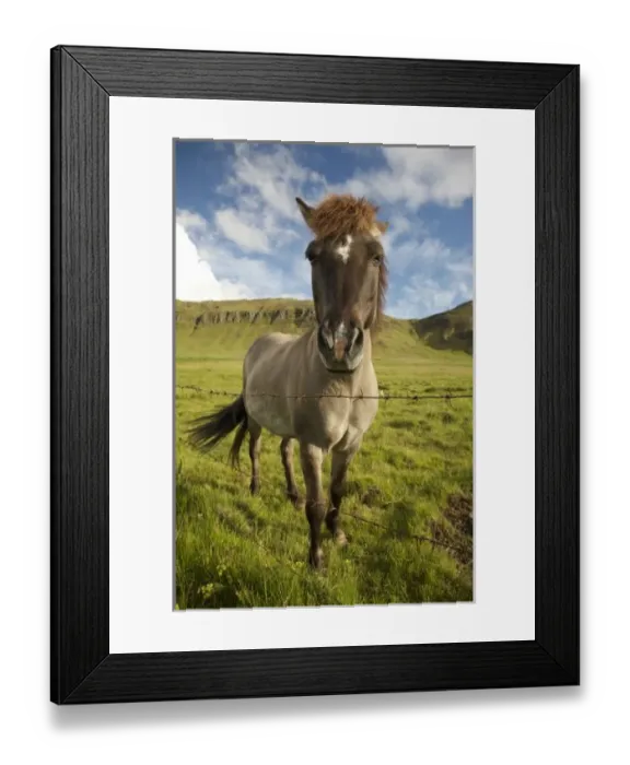 Framed Print : Iceland, Reykjavik Framed Print : Iceland, Reykjavik