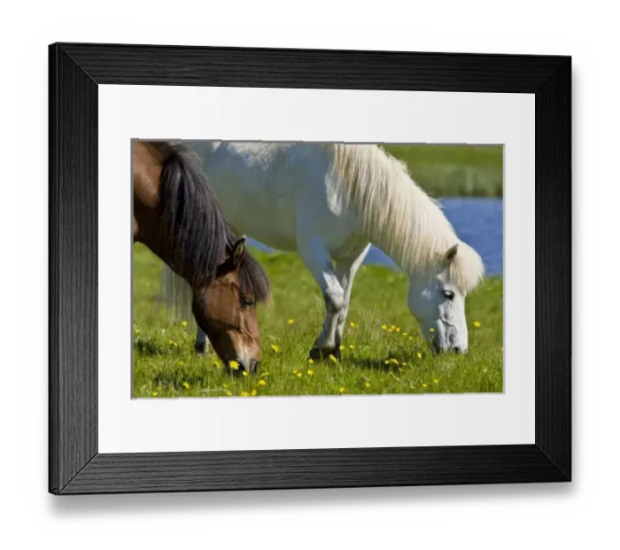 Framed Print : Europe, Iceland Framed Print : Europe, Iceland