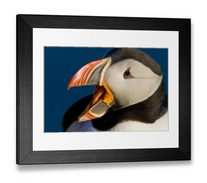 Framed Print : Europe, Iceland Framed Print : Europe, Iceland