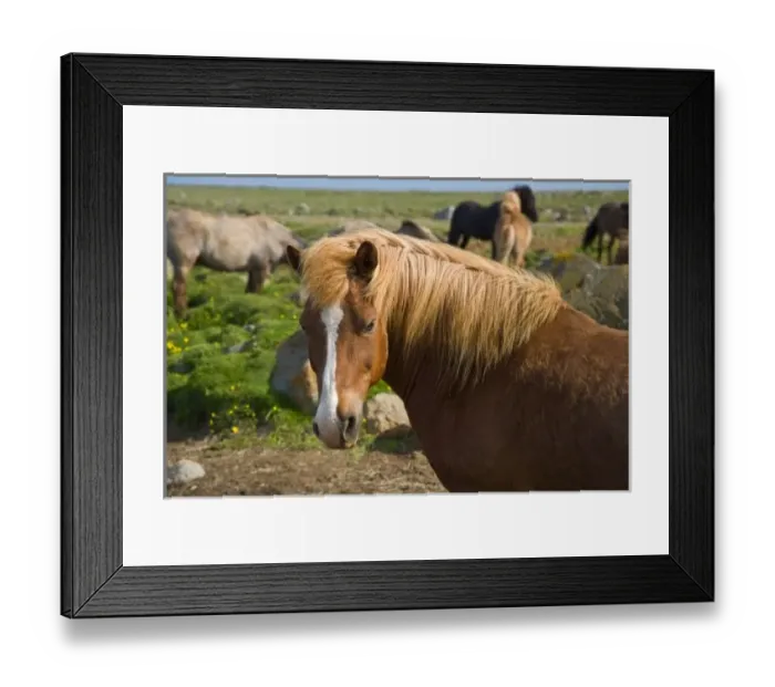 Framed Print : Europe, Iceland