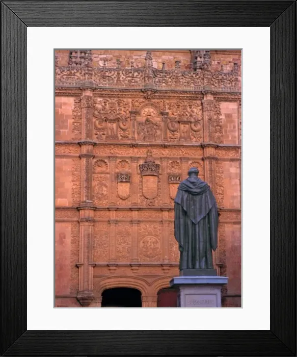 Framed Print : Europe, Spain, Salamanca. Coats-of-arms and medalions decorate the west wall of the University