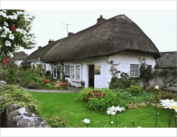 Ireland, Adare. Thatched-roof cottage surrounded by garden
