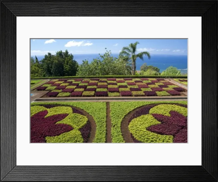 Framed Print : Portugal, Madeira Framed Print : Portugal, Madeira