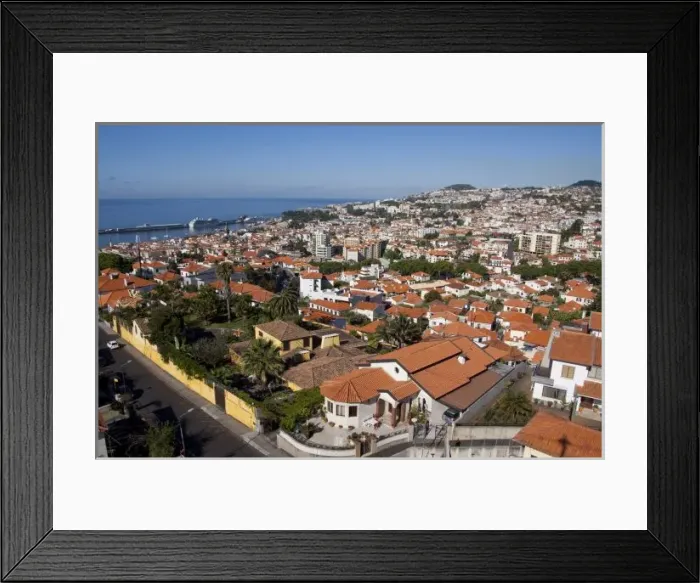 Framed Print : Portugal, Madeira Island, Funchal. Cable car ride from Funchal to Monte. Typical