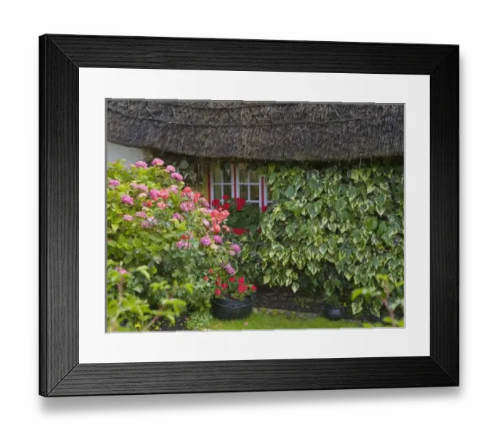 Framed Print : Thatched cottage Framed Print : Thatched cottage