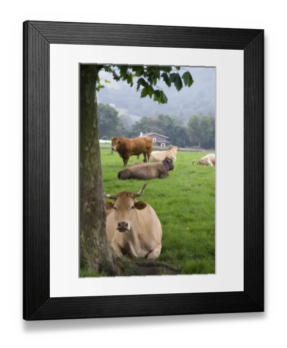 Framed Print : Europe, Spain Framed Print : Europe, Spain