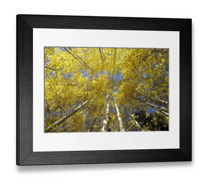 Framed Print : USA, Washington Framed Print : USA, Washington