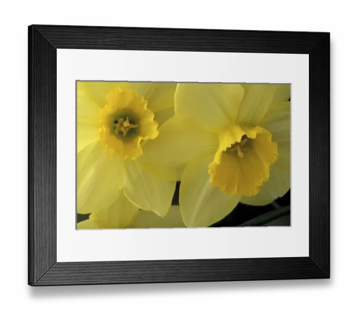 Framed Print : USA, Utah, Cache