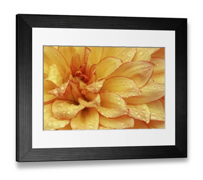 Framed Print : Tight in photographs Framed Print : Tight in photographs