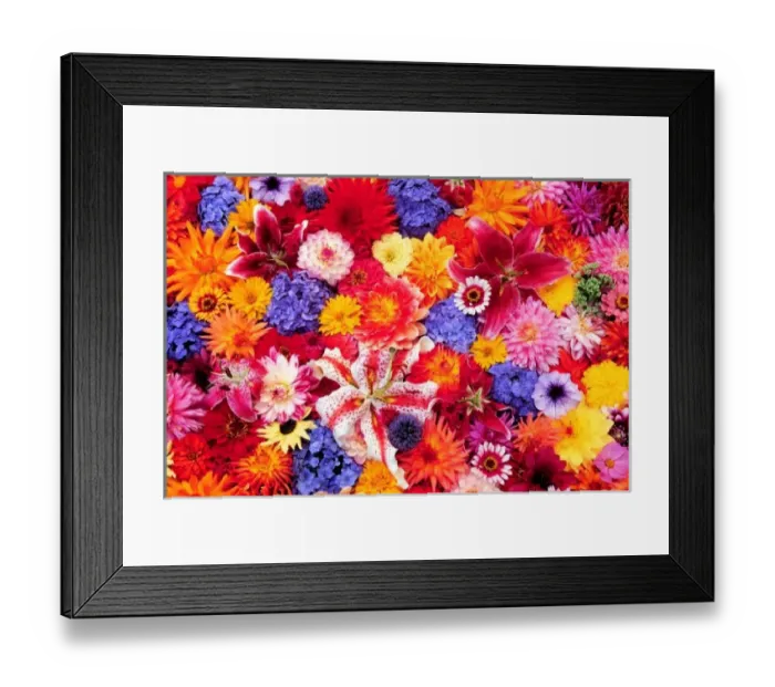 Framed Print : Flower design of Dalhia, Oriental Lilies, Sunflower, Petunia, Zinnia, Hydrangea bloom Framed Print : Flower design of Dalhia, Oriental Lilies, Sunflower, Petunia, Zinnia, Hydrangea bloom