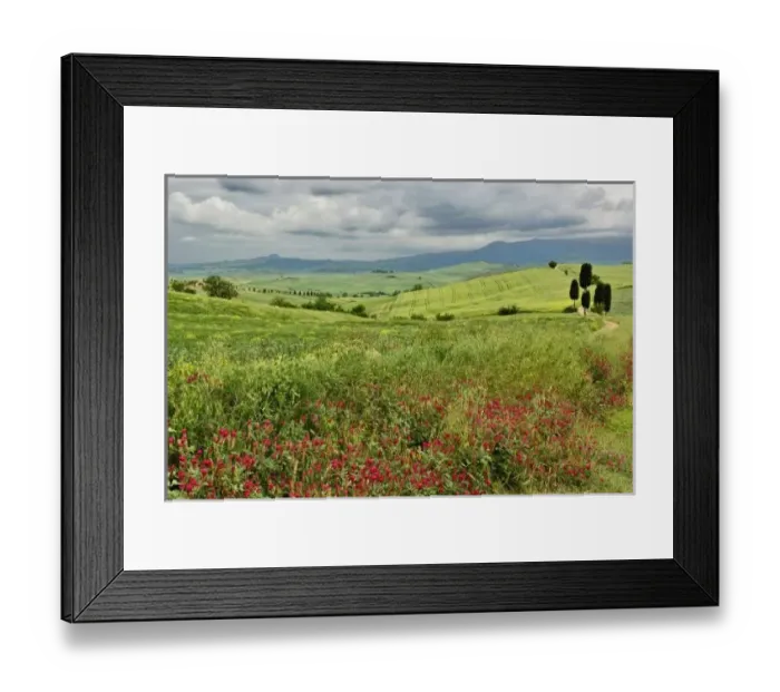 Framed Print : Agricultural field Framed Print : Agricultural field