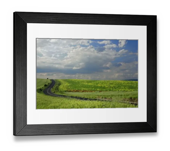 Framed Print : Roadway winding through agricultural fields, Tuscany, Italy