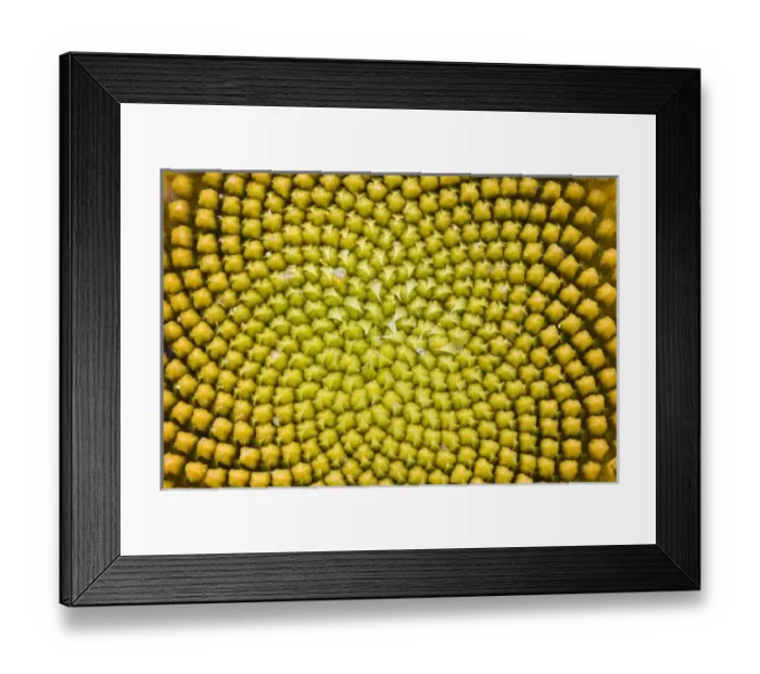 Framed Print : Center of giant
