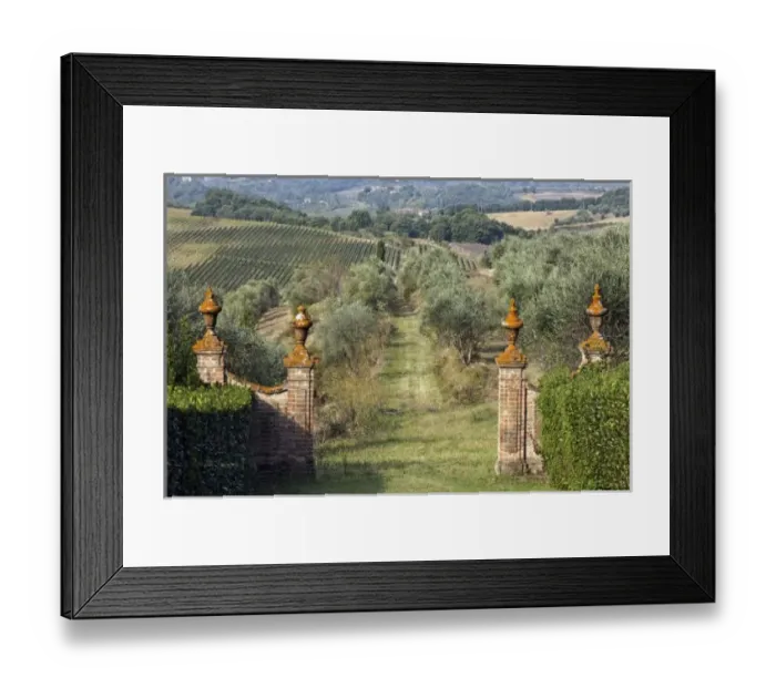 Framed Print : Vineyards, Tuscany Framed Print : Vineyards, Tuscany