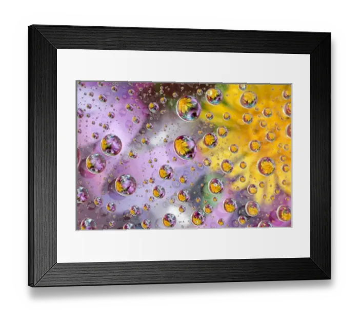Framed Print : Nature, Flora Framed Print : Nature, Flora