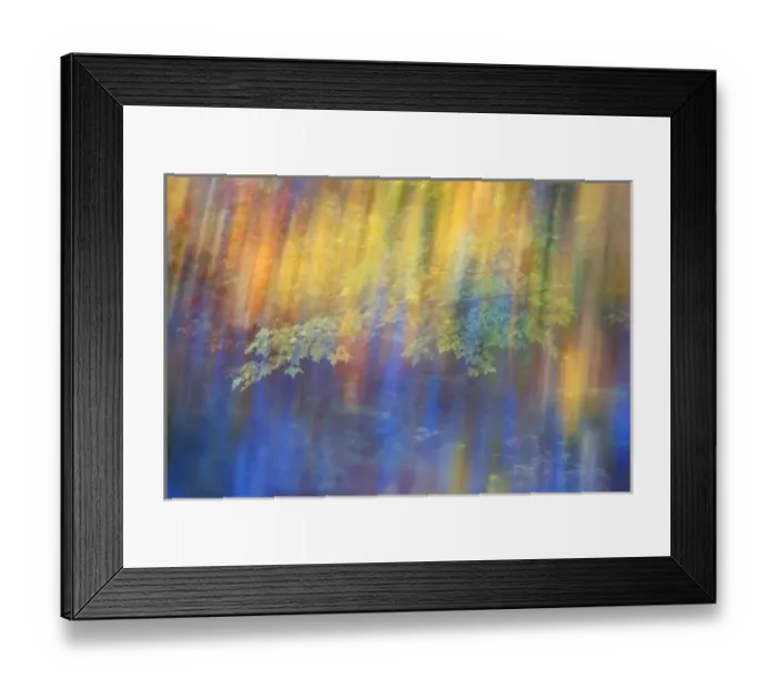 Framed Print : Trees reflected in car window. Credit as: Nancy Rotenberg / Jaynes Gallery / Danita Framed Print : Trees reflected in car window. Credit as: Nancy Rotenberg / Jaynes Gallery / Danita