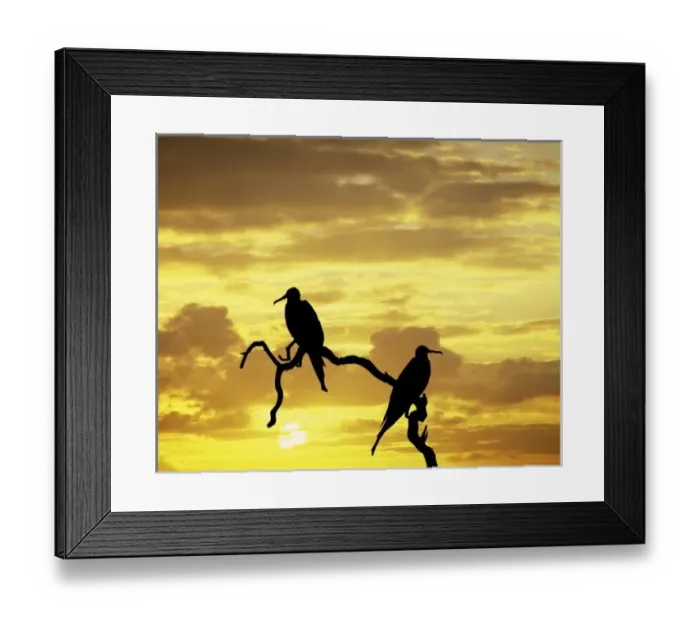 Framed Print : Ecuador, Galapagos Framed Print : Ecuador, Galapagos