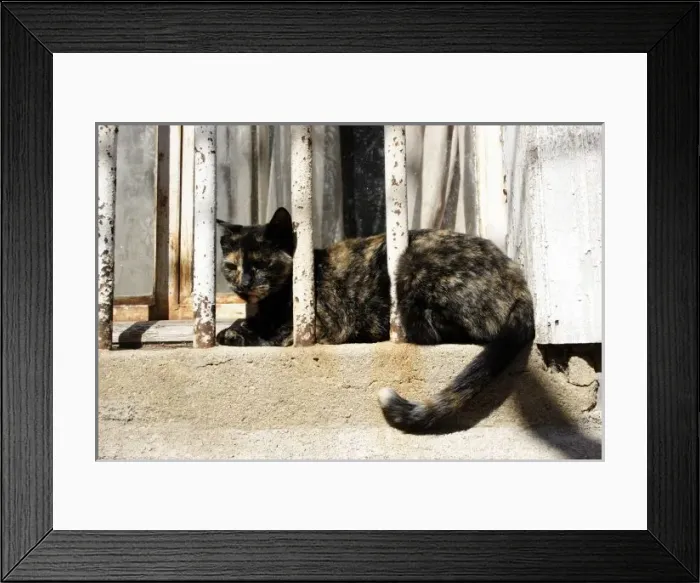 Framed Print : South America, Chile