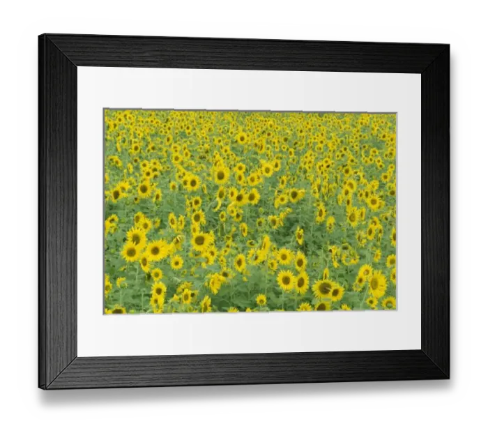 Framed Print : USA, Kentucky