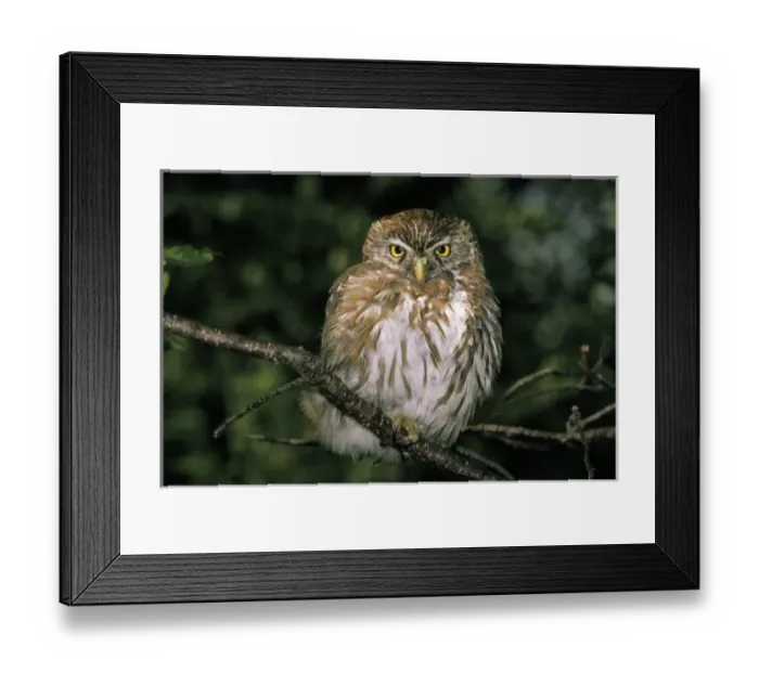 Framed Print : South America, Chile