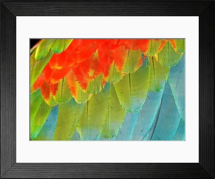 Framed Print : Itaparica, Brazil Framed Print : Itaparica, Brazil