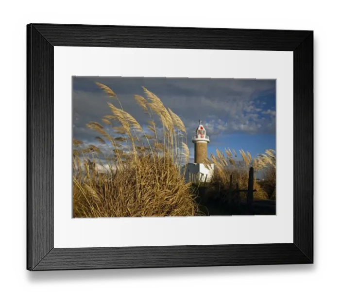 Framed Print : Uruguay, Montevideo Department, Montevideo. Punta Brava lighthouse, morning Framed Print : Uruguay, Montevideo Department, Montevideo. Punta Brava lighthouse, morning
