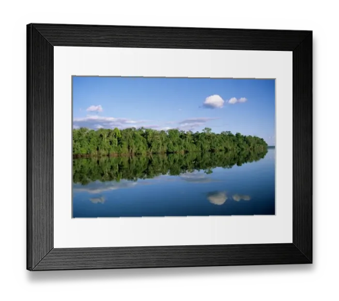 Framed Print : Mato Grosso State, Amazon, Brazil. Forested river bank with perfect reflection of