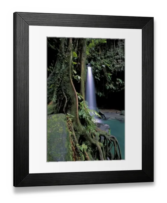 Framed Print : Dominica, Emerald Pool, Waterfall
