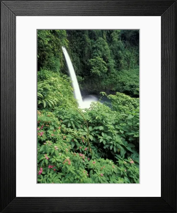 Framed Print : CA, Costa Rica. La Paz waterfall and impatients Framed Print : CA, Costa Rica. La Paz waterfall and impatients