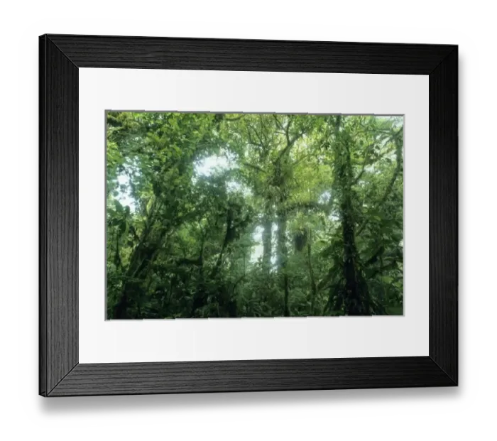 Framed Print : Monteverde Cloud Forest, Costa Rica Framed Print : Monteverde Cloud Forest, Costa Rica