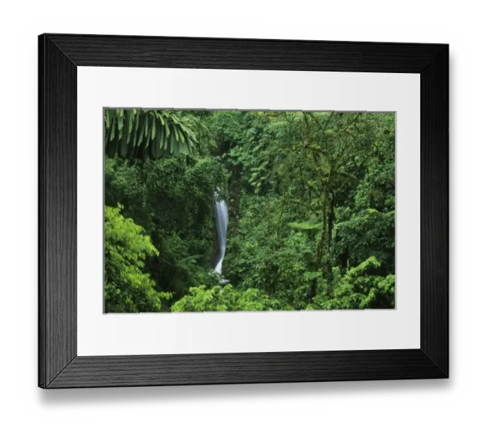 Framed Print : Costa Rica, Arenal Volcano area, Hanging Bridges trail, rainforest private reserve