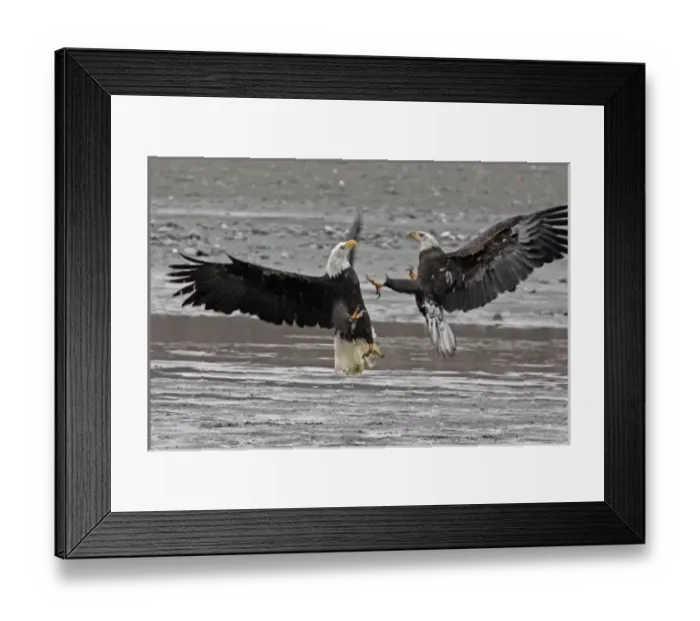Framed Print : USA, North America, Alaska Framed Print : USA, North America, Alaska