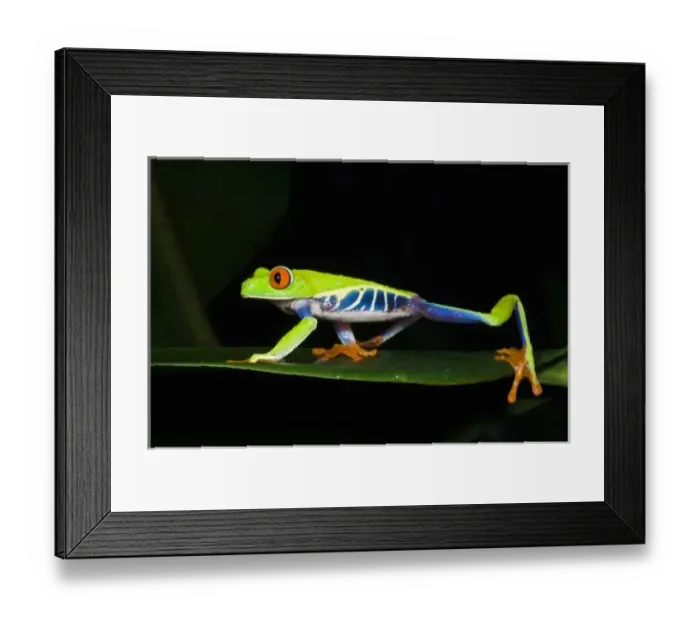 Framed Print : Central America, Costa Rica