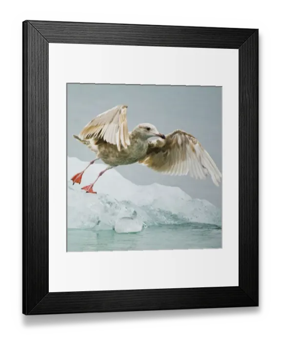 Framed Print : USA, North America, Alaska