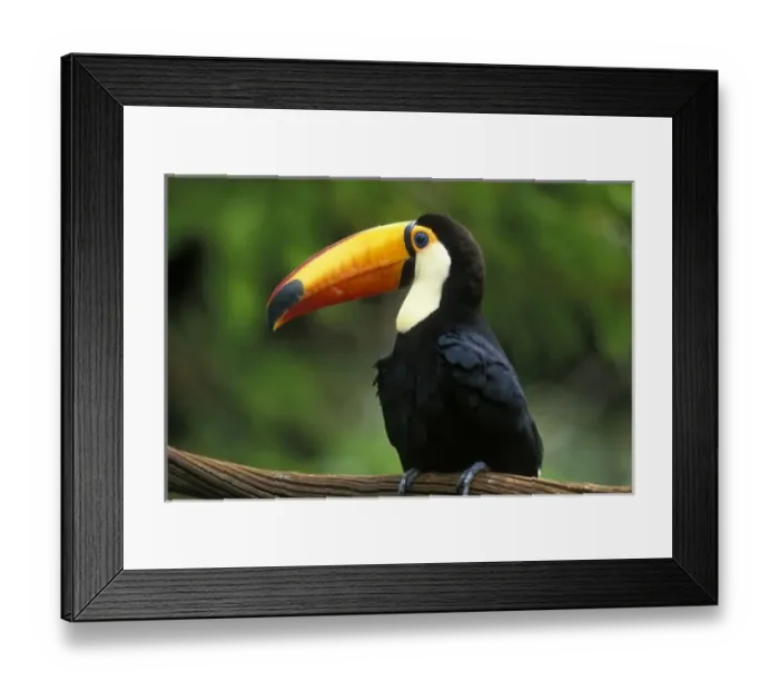 Framed Print : South America, Brazil Framed Print : South America, Brazil