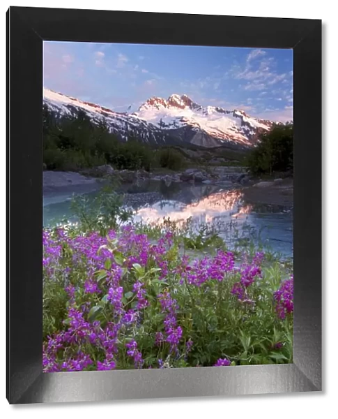 USA, Alaska, Alsek-Tatshenshini Wilderness. View of wildflowers, pond, and mountains
