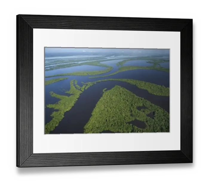 Framed Print : Aerial of Anavilhanas Archipelago, Flooded forest, Rio Negro, Amazonia BRAZIL Framed Print : Aerial of Anavilhanas Archipelago, Flooded forest, Rio Negro, Amazonia BRAZIL
