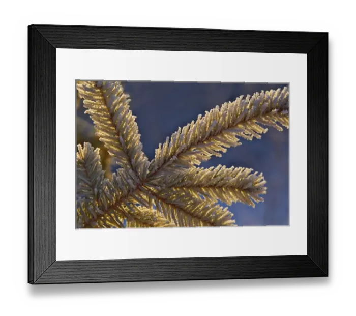 Framed Print : USA, North America, Alaska