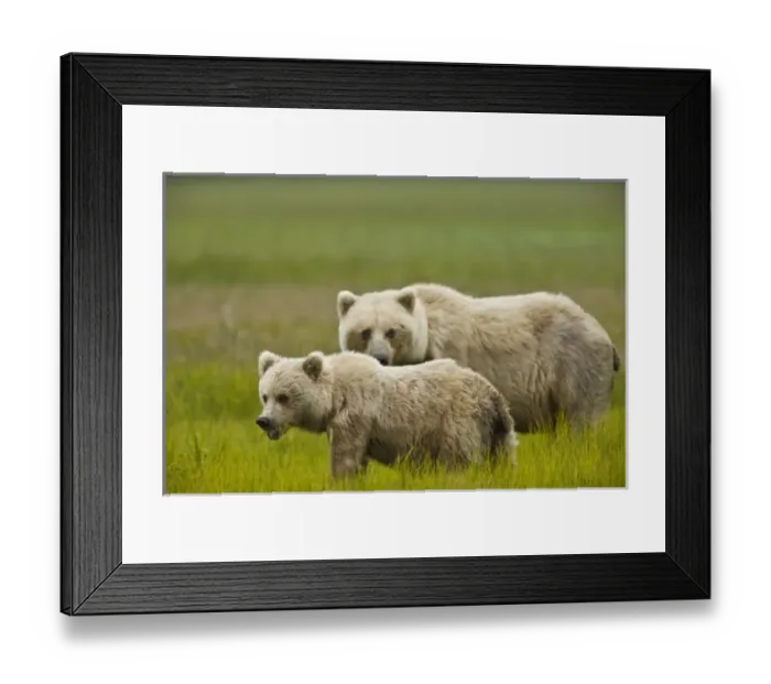 Framed Print : USA, Alaska, Lake