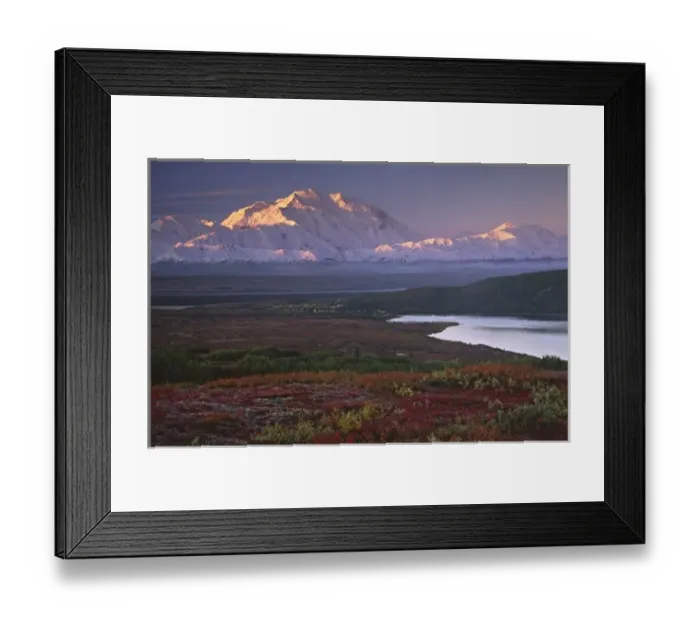 Framed Print : Taken in early September in Denali National Park near Wonder lake Framed Print : Taken in early September in Denali National Park near Wonder lake