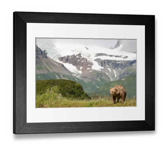 Framed Print : United States Framed Print : United States
